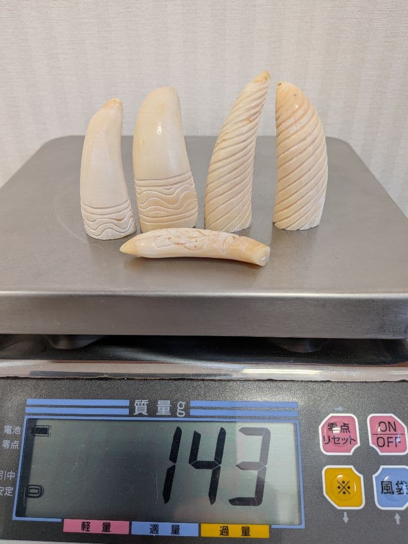 マッコウ鯨歯　本物アイヌ風彫刻入り 5個セット