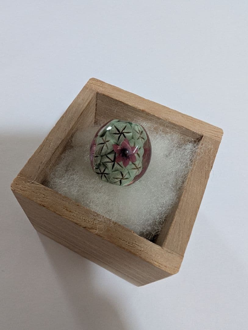 とんぼ玉 内田敏樹作 サボテン 花 木箱付き 工芸品 ガラス細工 蜻蛉玉
