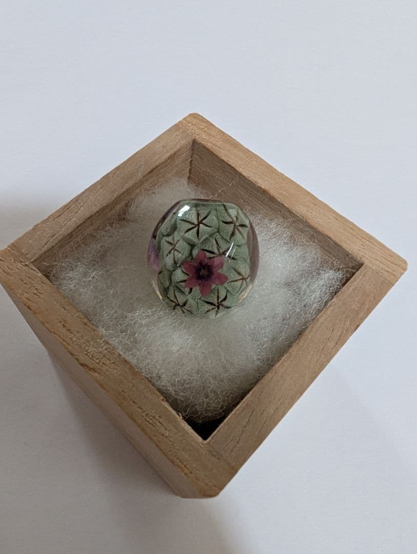 とんぼ玉 内田敏樹作 サボテン 花 木箱付き 工芸品 ガラス細工 蜻蛉玉