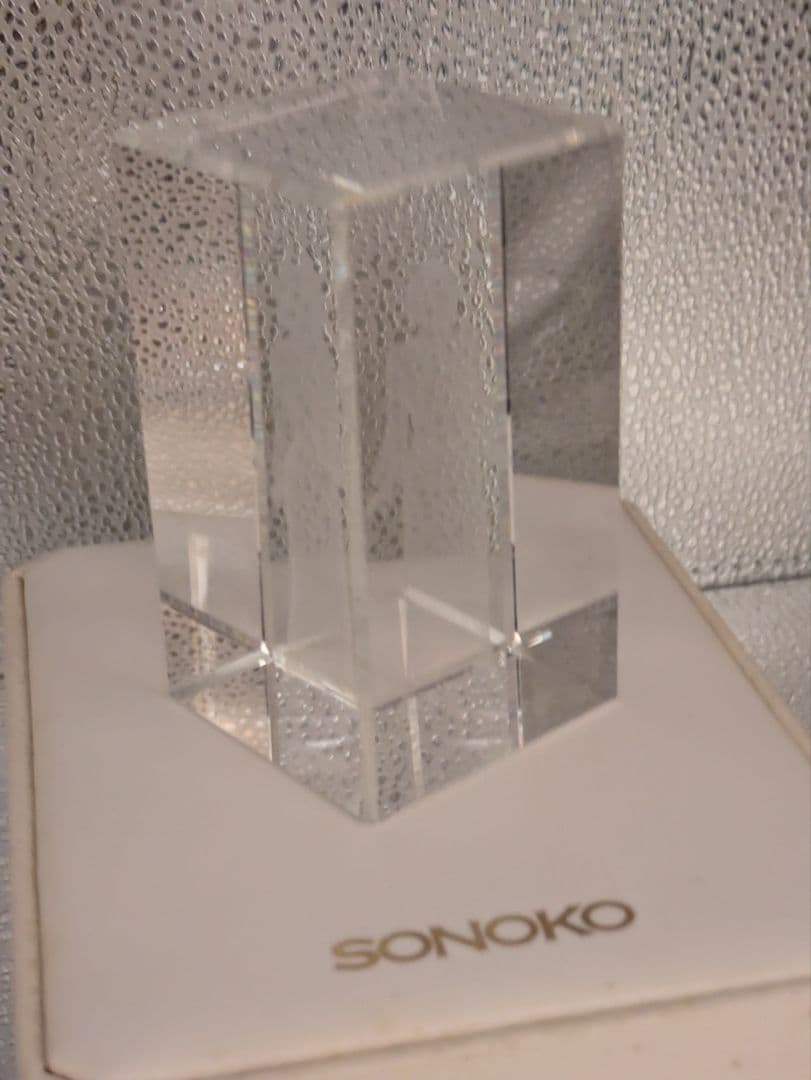 鈴木その子　3Dクリスタルアート