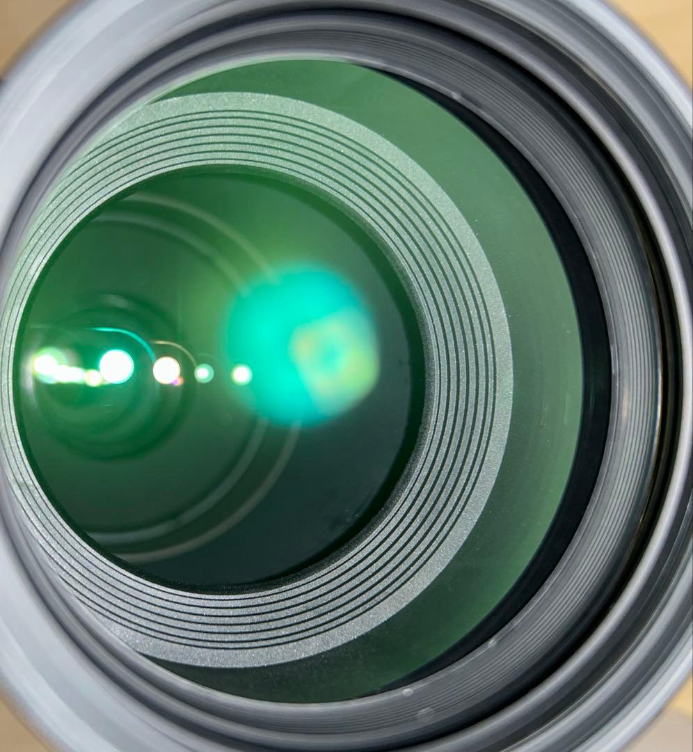 SIGMA 150-500mm F5-6.3 APO DG OS（CANON用）
