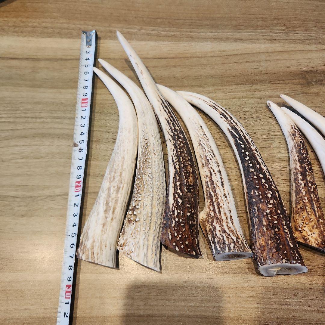 鹿の角　特大　約2000g 犬用　おもちゃ　おやつ　アクセサリなどに