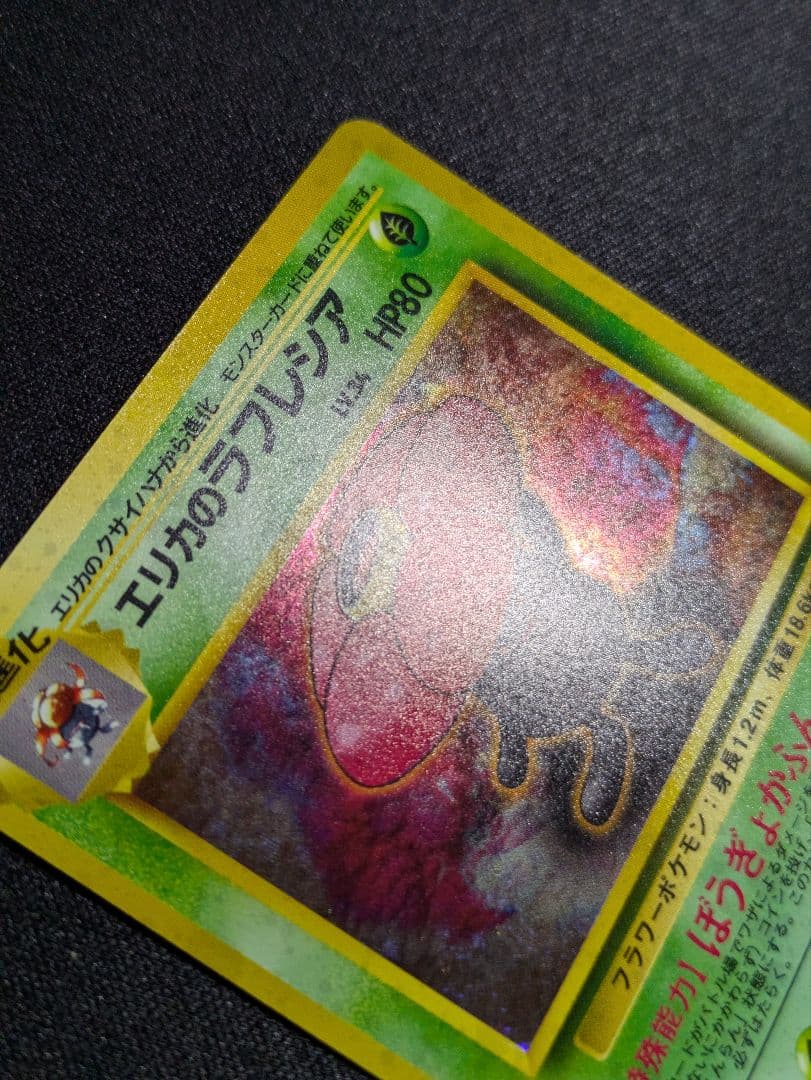 エリカ　旧裏　タマムシシティジム　関連カードまとめ売り