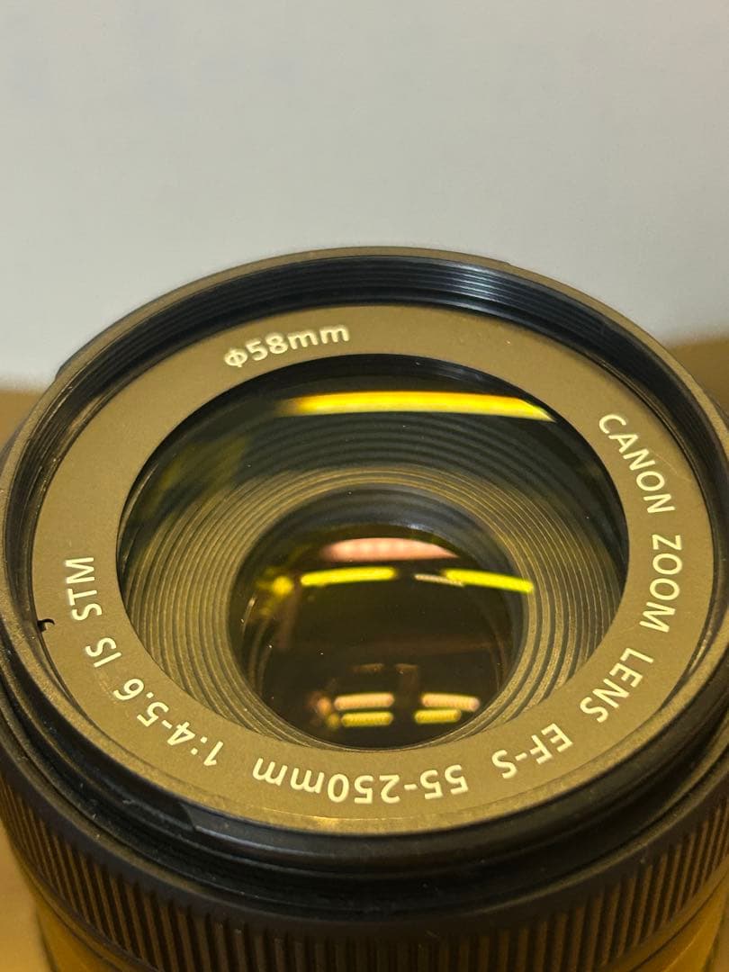 Canon EF 55-250mm ズームレンズ
