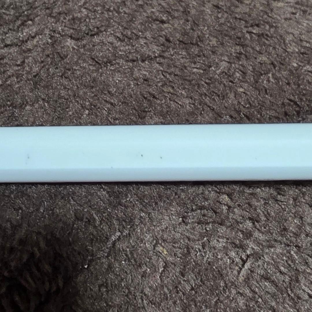 ✨箱あり✨Apple Pencil　USB-C充電タイプ　白　ホワイト