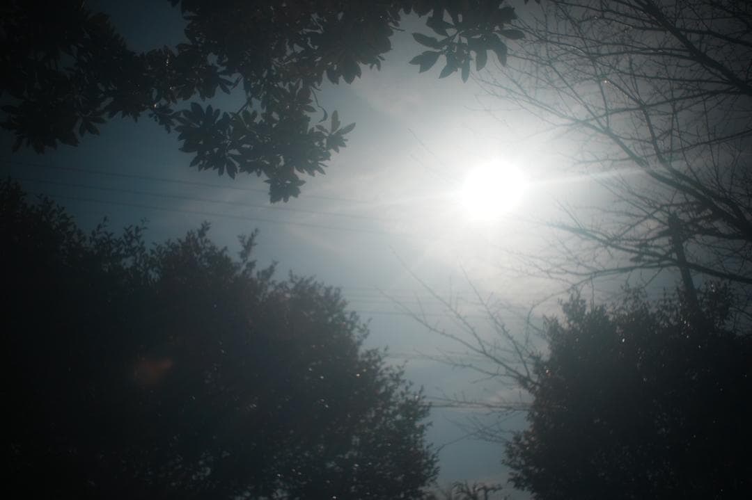 【希少】オリンパス G.zuiko Auto-W 20mm f3.5 336