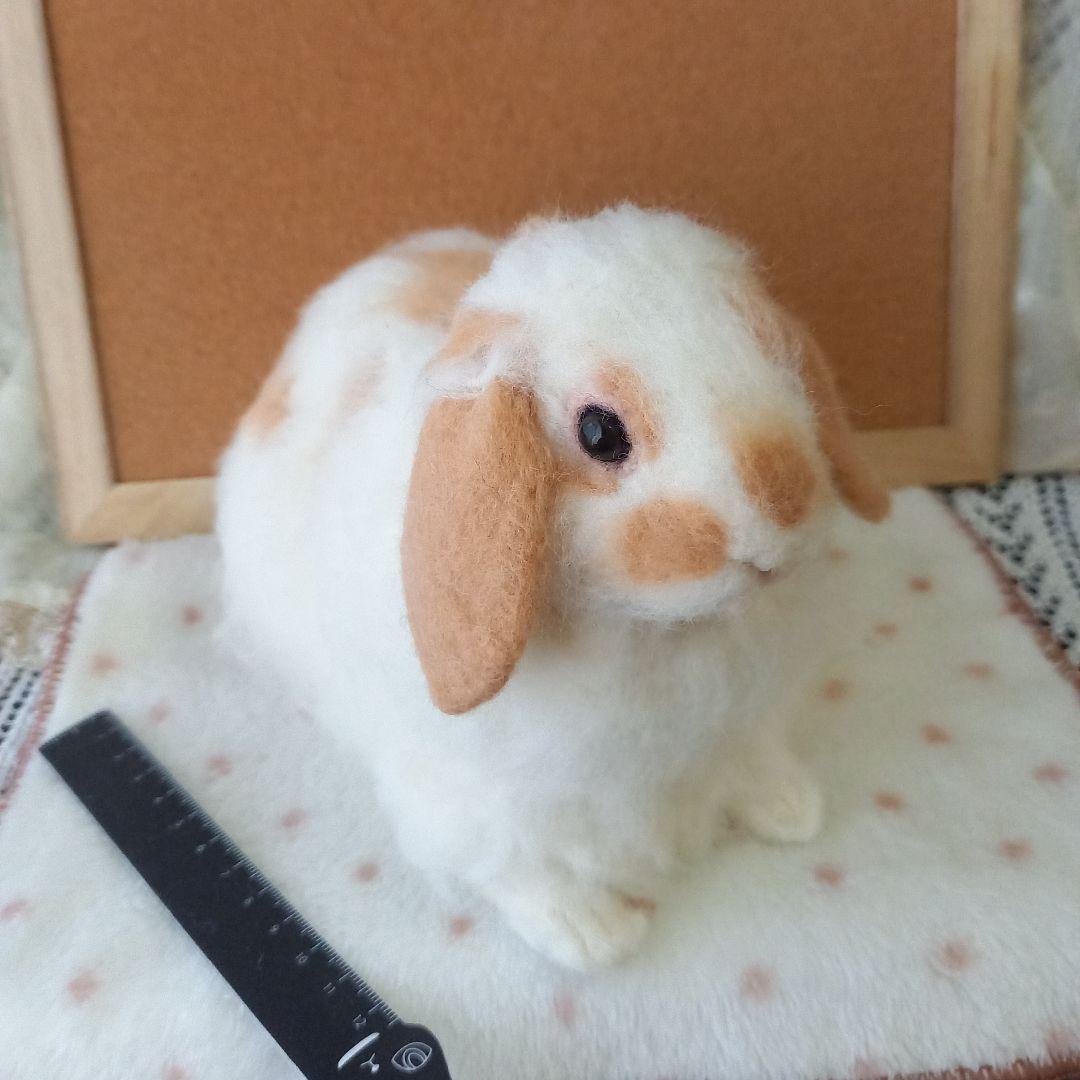 ロップイヤー ブロークンオレンジ 全身 羊毛フェルト ハンドメイド インテリア