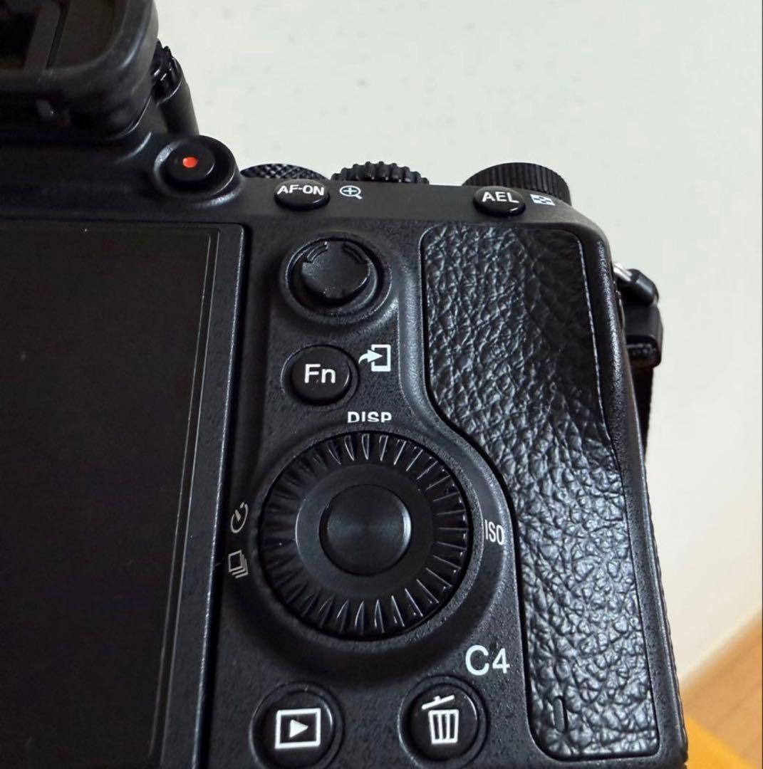 SONY α7Ⅲ + Sony Lens 28-70mm F3,5-5,6