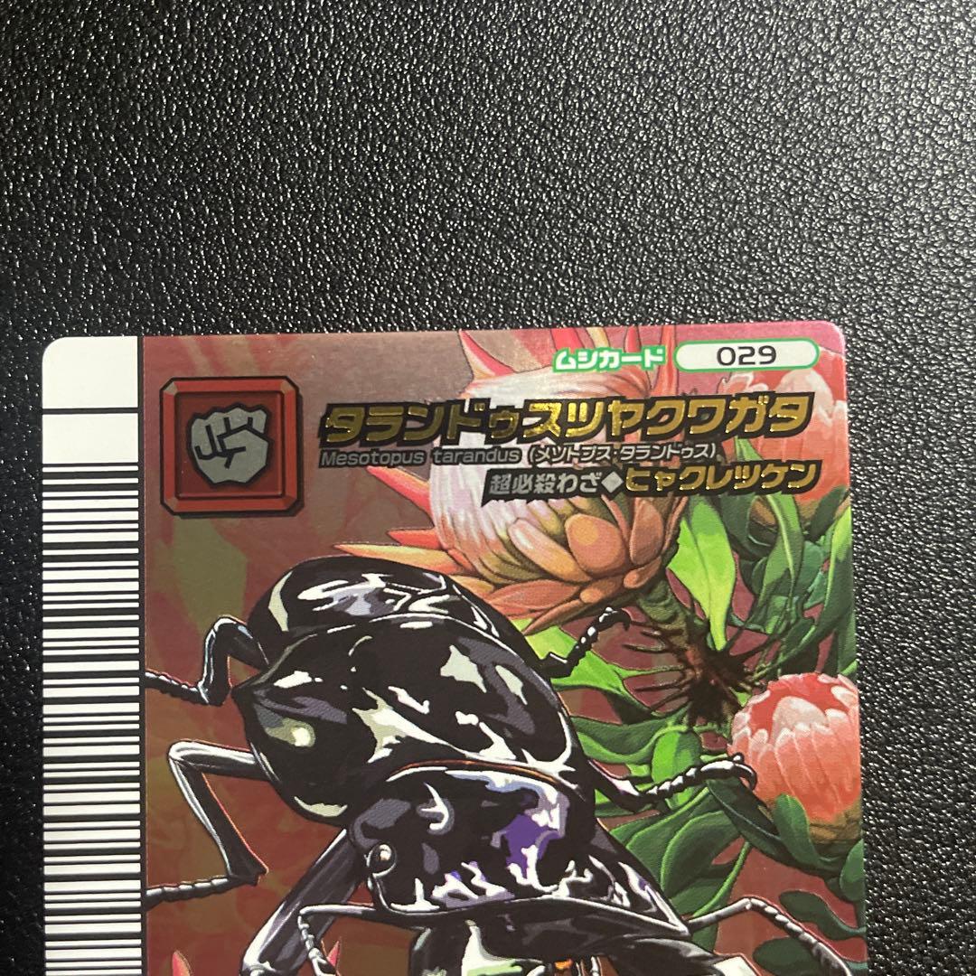 ✡*✡様 ムシキング　タランドゥスツヤクワガタ