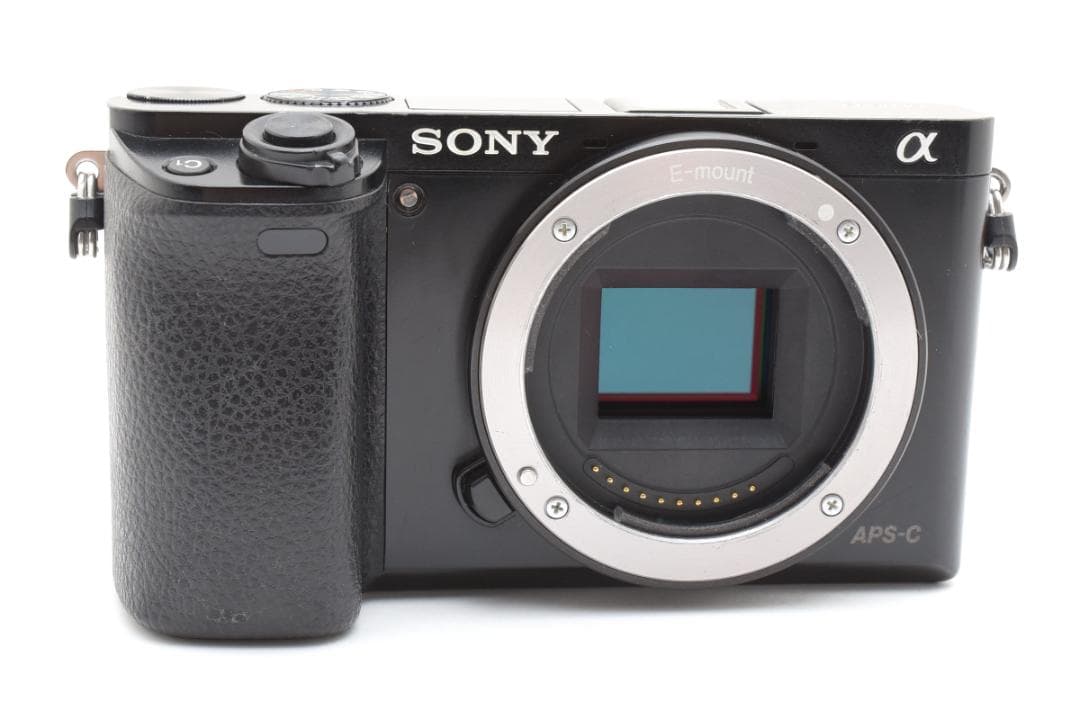 ソニー α6000 ミラーレスデジタルカメラボディ ブラック Sony