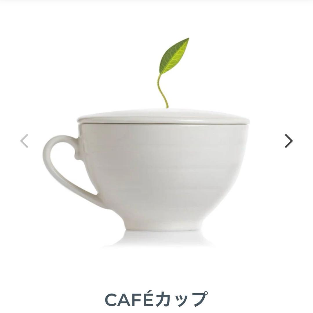 Tea Forte☆ティーフォルテ ☆ティーカップと紅茶のセット