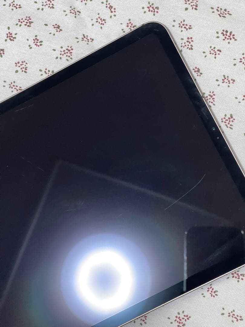 iPad Pro 11 (第1世代) 256GB WiFi + セルラー
