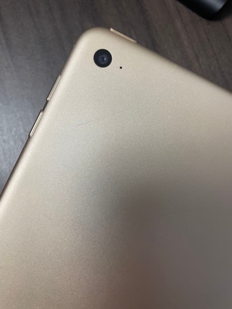 【即購入OK】Apple iPad air2 64GB (A1566)