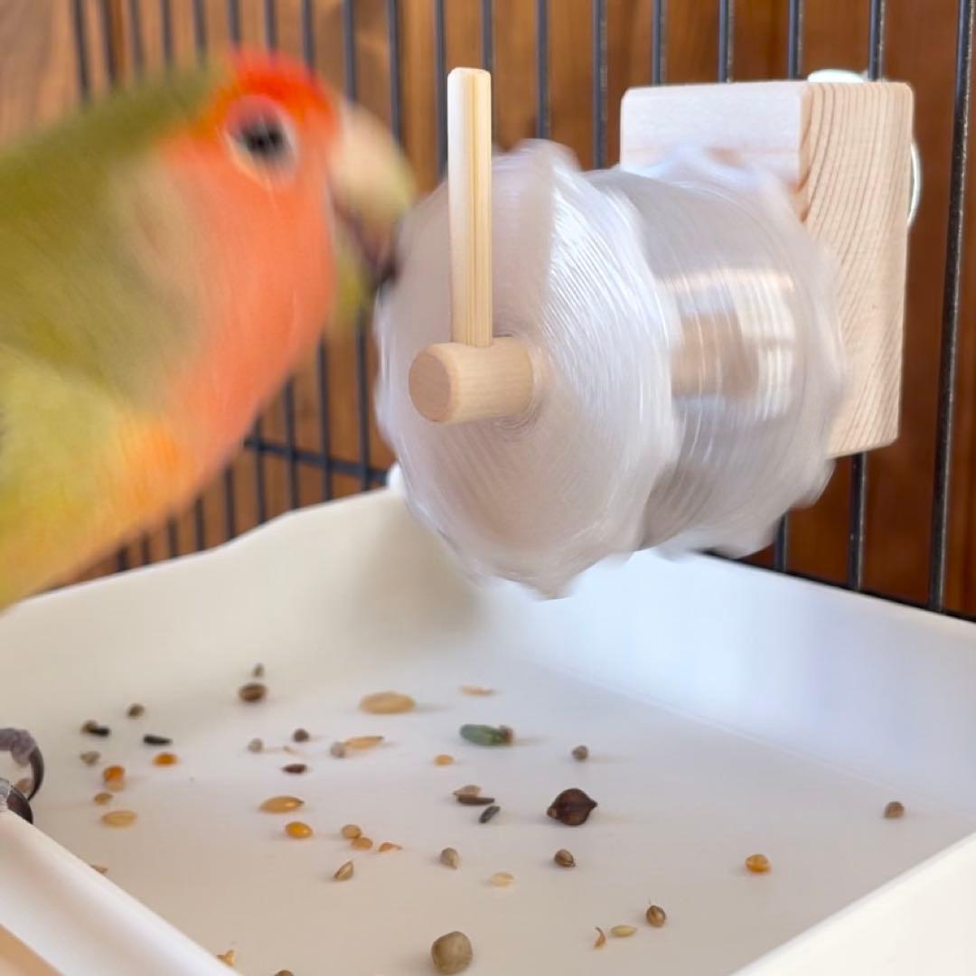 【準備中】フォージングスピン　インコ　おもちゃ　フォージングトイ　S031