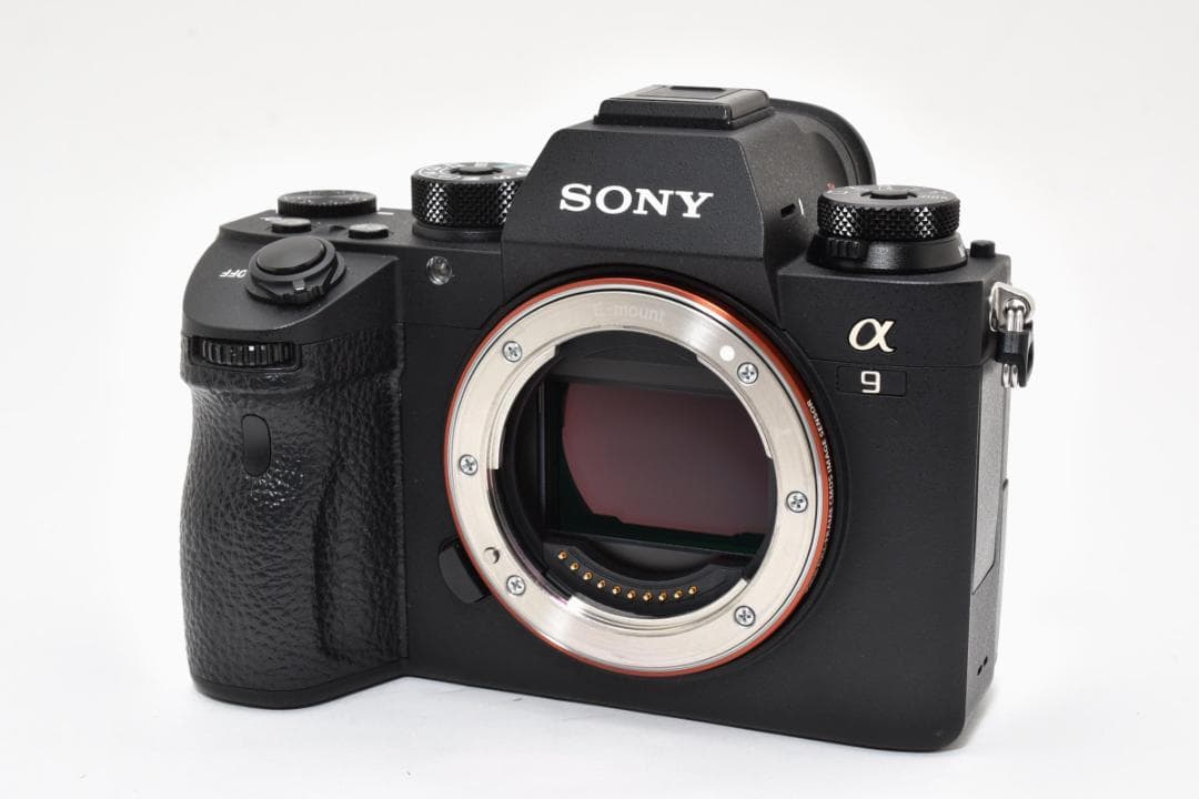 Sony a9 ILCE-9 シャッターカウント:4,003