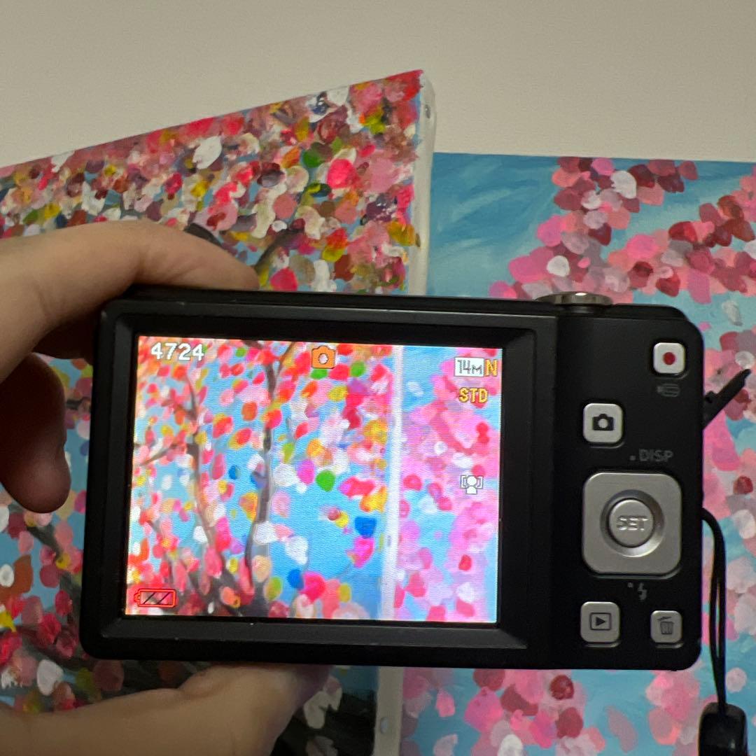 Casio Exilim EX-ZS5 黒14MP 5倍広角ズーム sdカード付