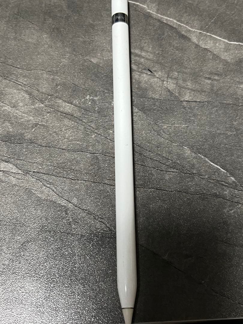 や*ん様 iPad 大画面、Apple Pencil第1世代