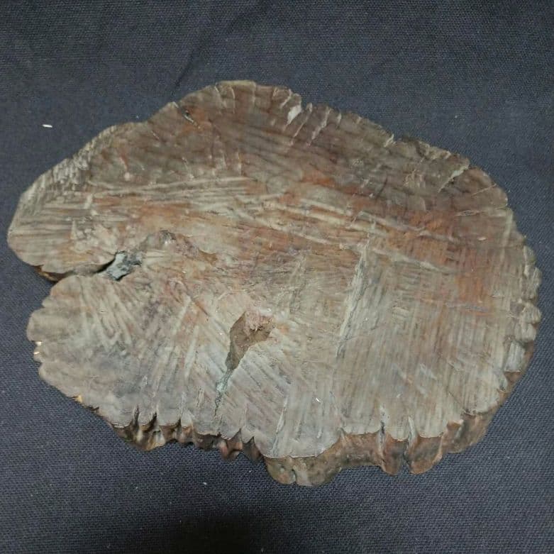 花台　置物台　天然木　自然木の工芸品 木材　珍品　ミ10