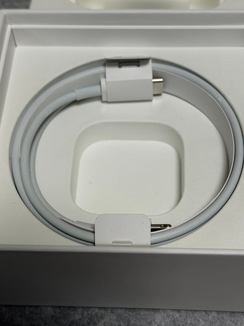 AirPods Pro 第1世代一式(本体&付属品全て) 異常無し