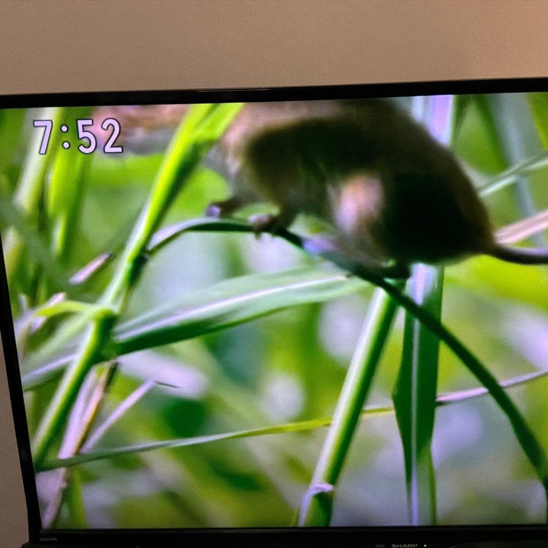シャープ液晶テレビ 40インチ　4T-C40BH1