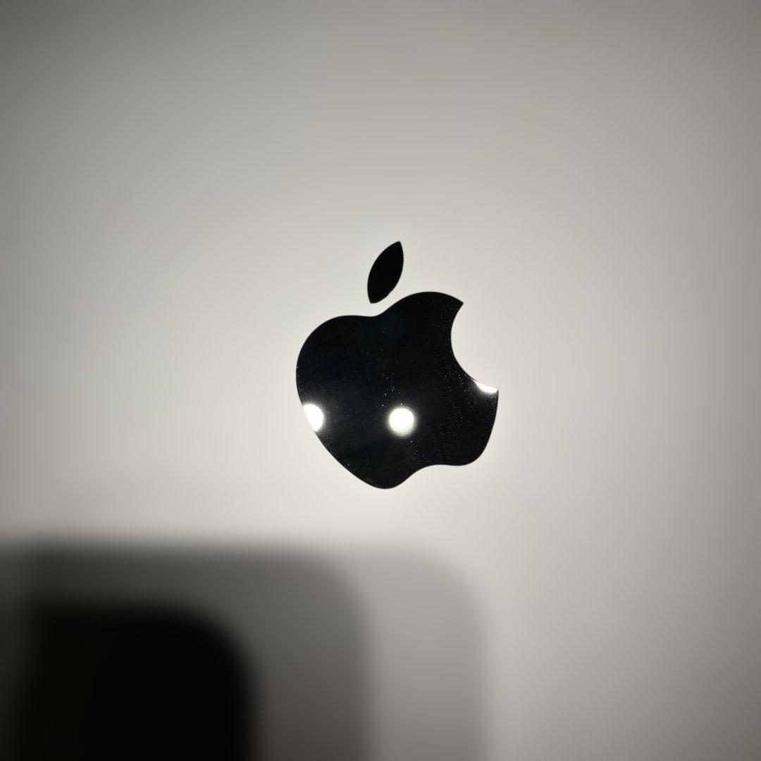 【100%】Apple iPad 第9世代 WiFi 64GB スペースグレイ