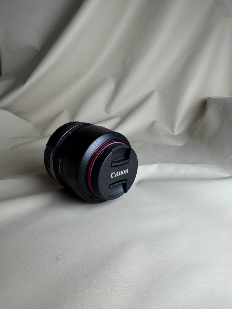 【使用2回のみ】キヤノン RF-S18-45mm IS STM