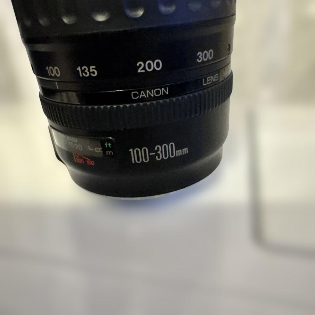 Canon 100-300mm ズームレンズ