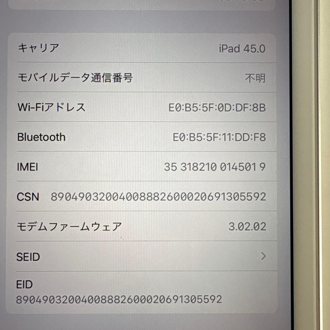 iPad mini5 セルラー 64GB SIMフリー(75)