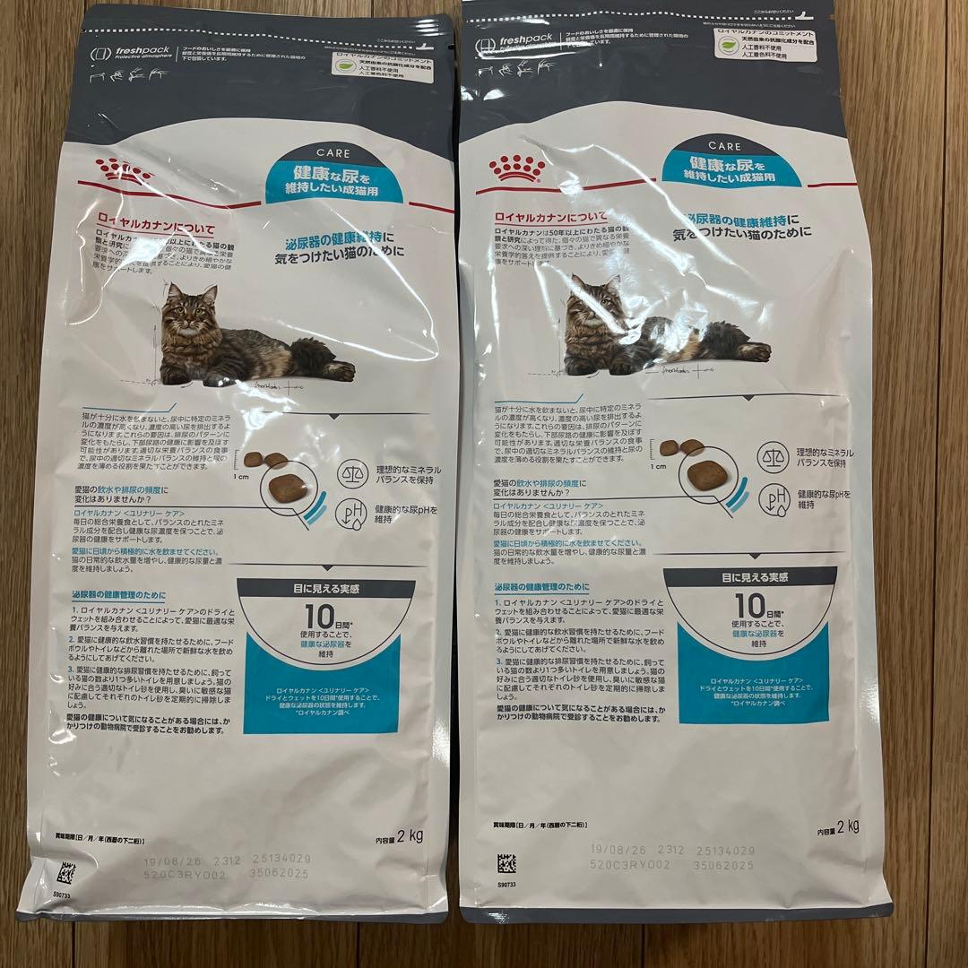  CANIN キャットフード ドライフード 2kg×2袋
