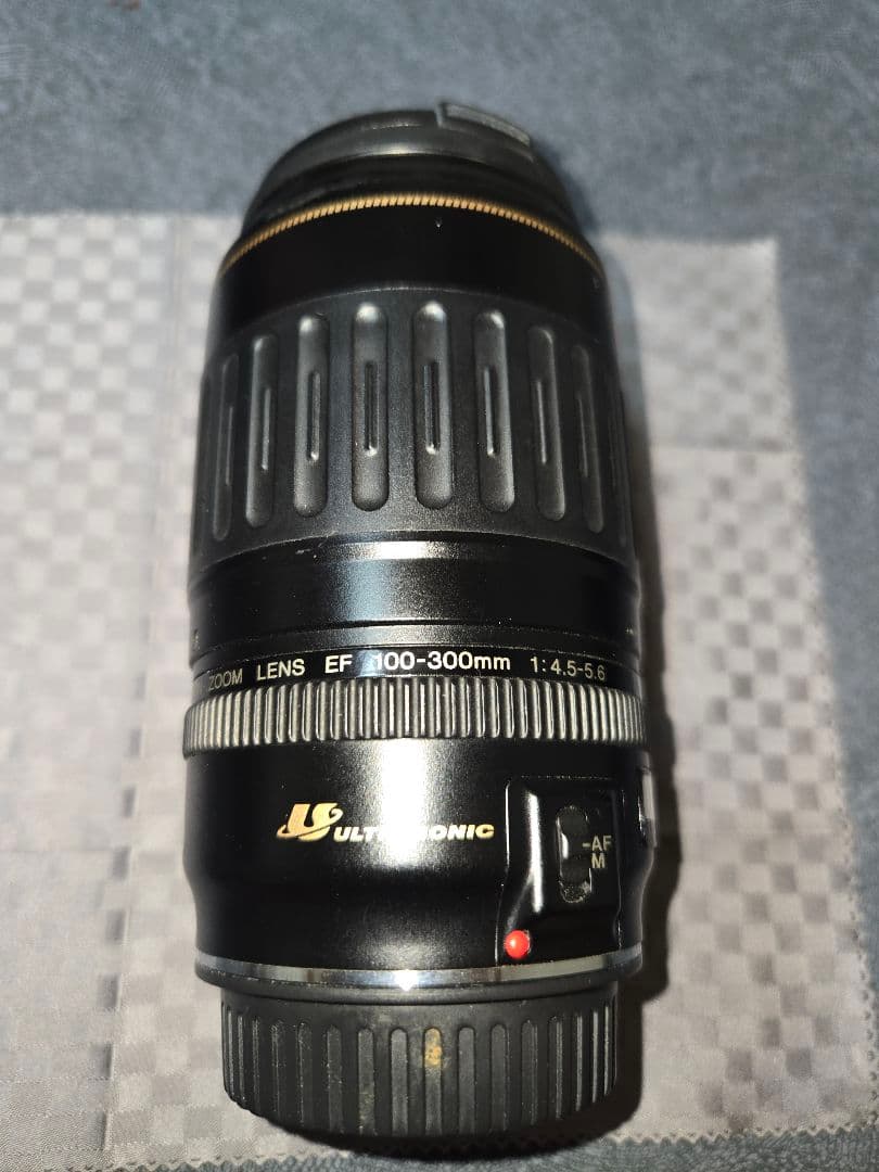 Canon EOS100QD　 ZOOM EF 28-80mm +300