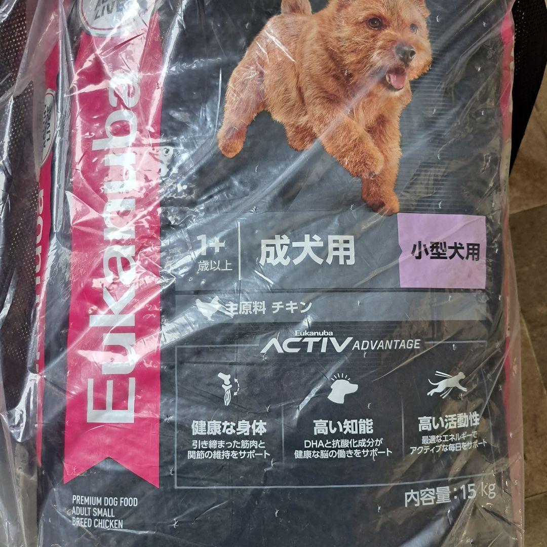Mr.チップさん