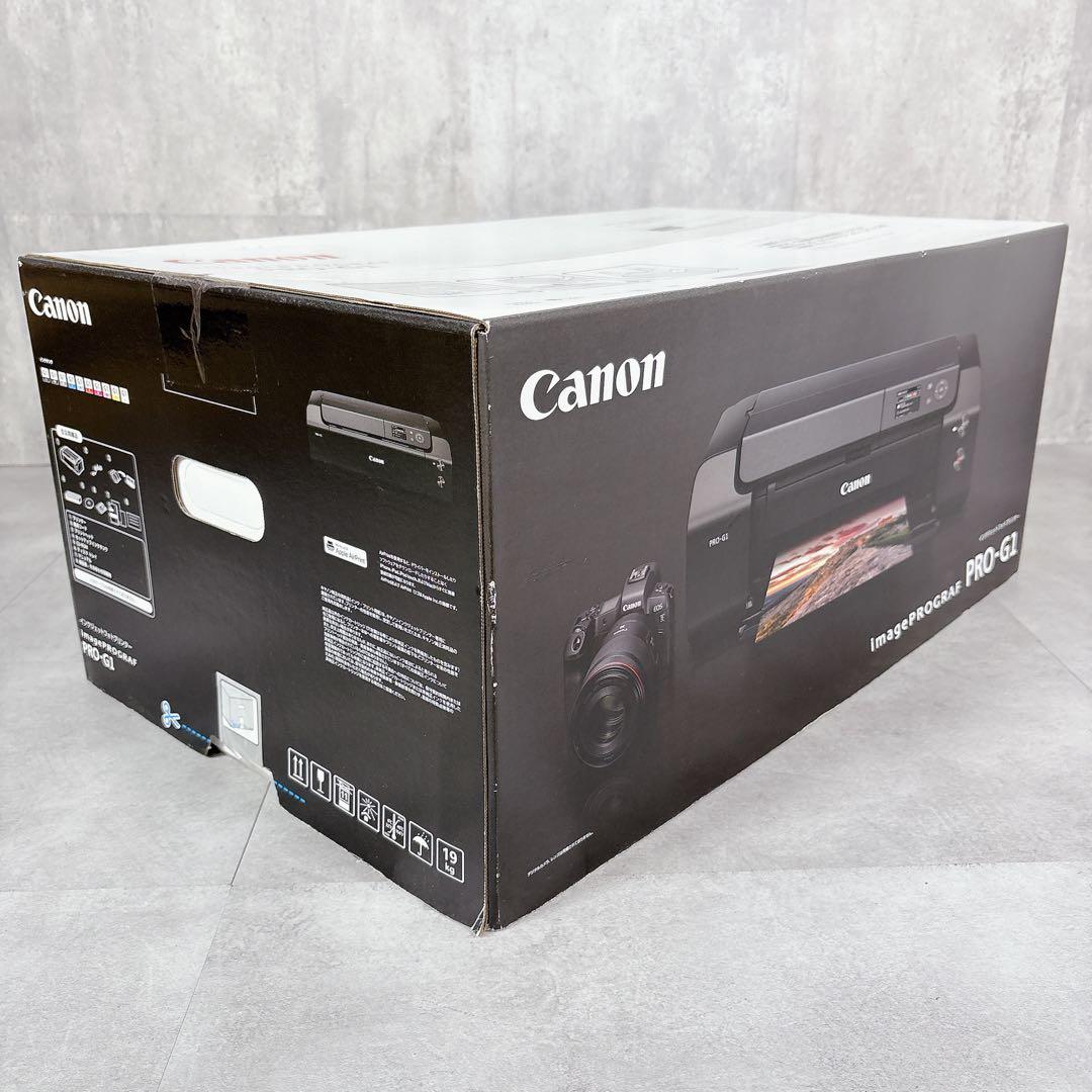 T743 新品 キャノン PRO-G1 インクジェットプリンター 10色 写真