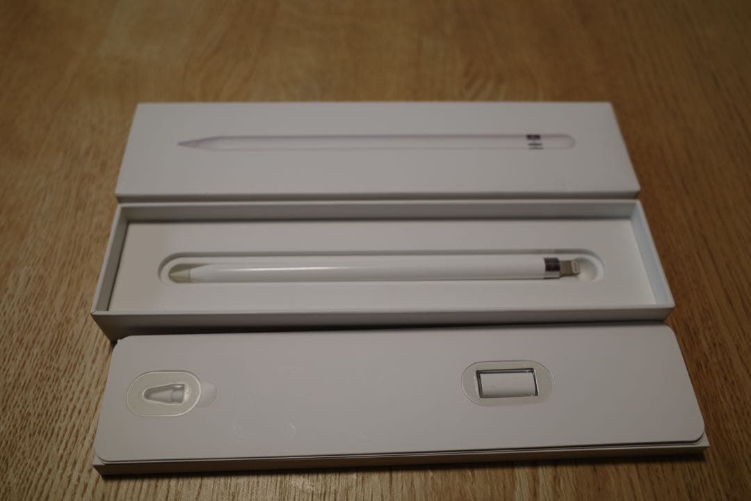 Apple Pencil ホワイト 専用ケース付き