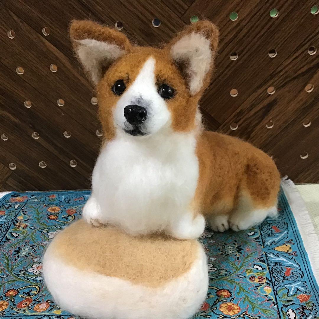 コーギー（蒸しパンクッションに乗って❣️）