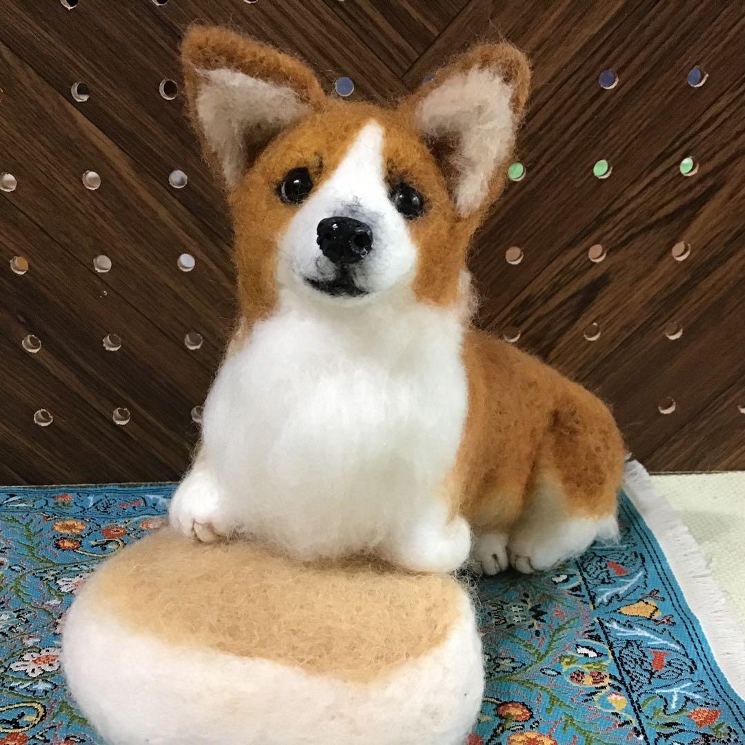 コーギー（蒸しパンクッションに乗って❣️）