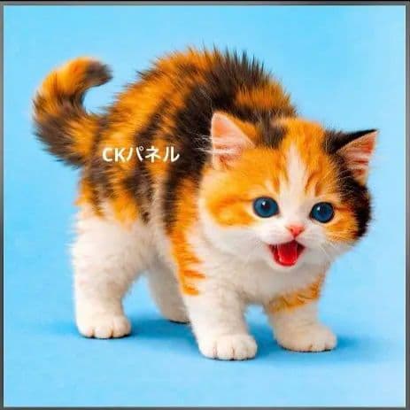 オーダー用猫ちゃんパネルサンプルページ 六