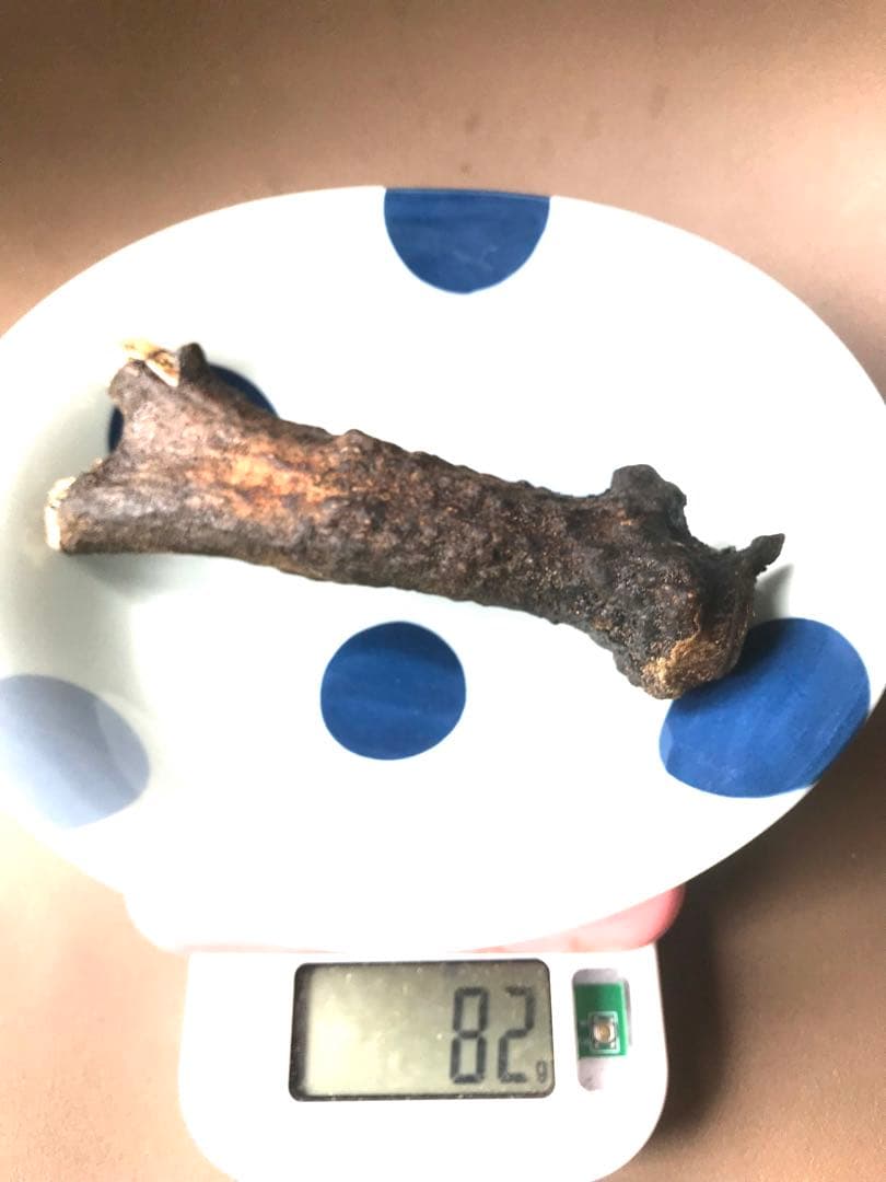 鹿茸　全部で595g  乾燥済み