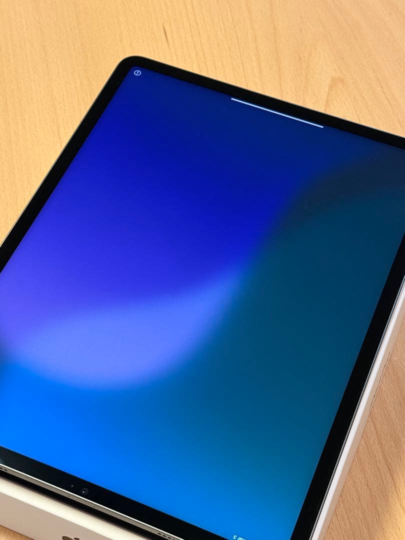iPad Pro 12.9 第5世代 256GB + Apple Pencil