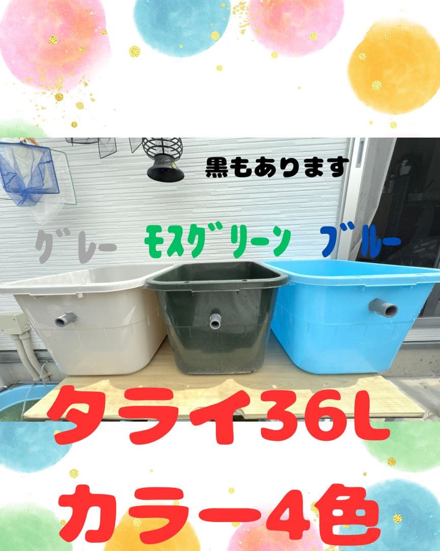 ★お買い得★たらい36L(2個)メダカ飼育容器オーバーフロー トロ舟プラ舟めだか