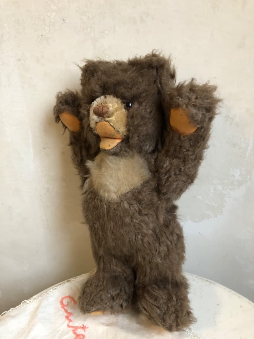 アンティーク テディベア シュタイフ Zotty ゾッティ 50s