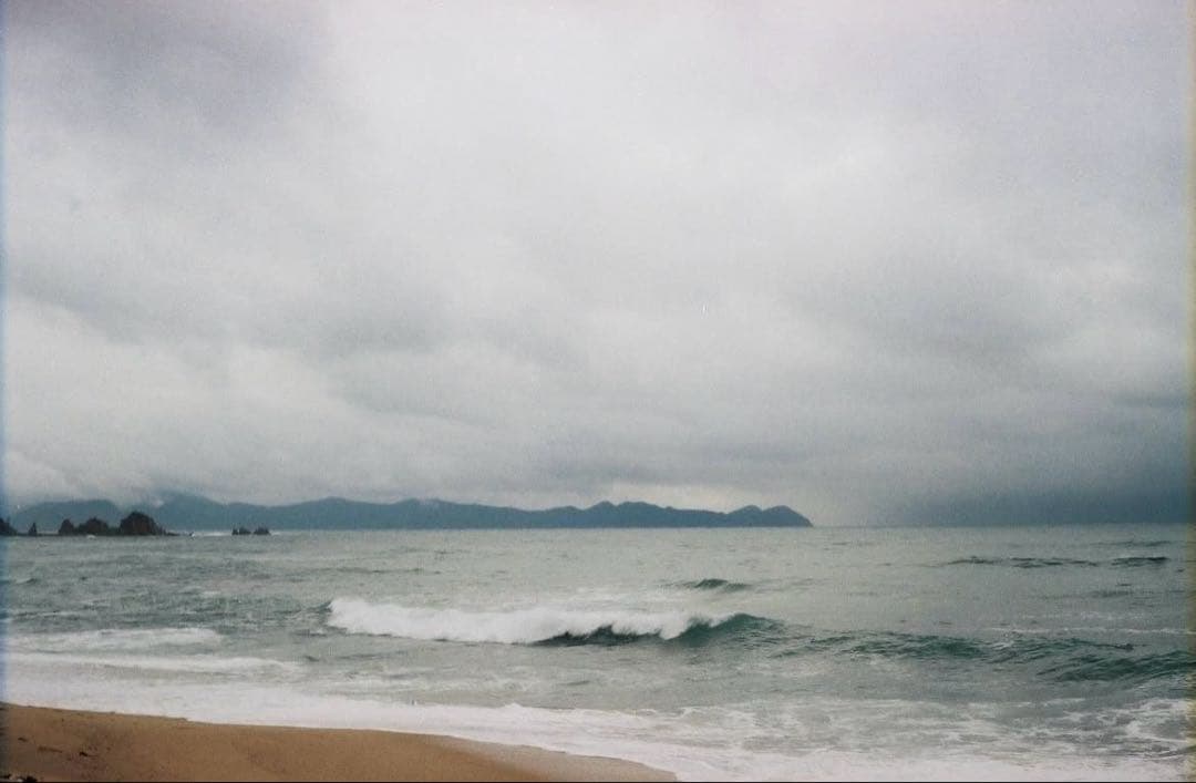【美品/作例あり】動作品 OLYMPUS TRIP 35 オリンパス