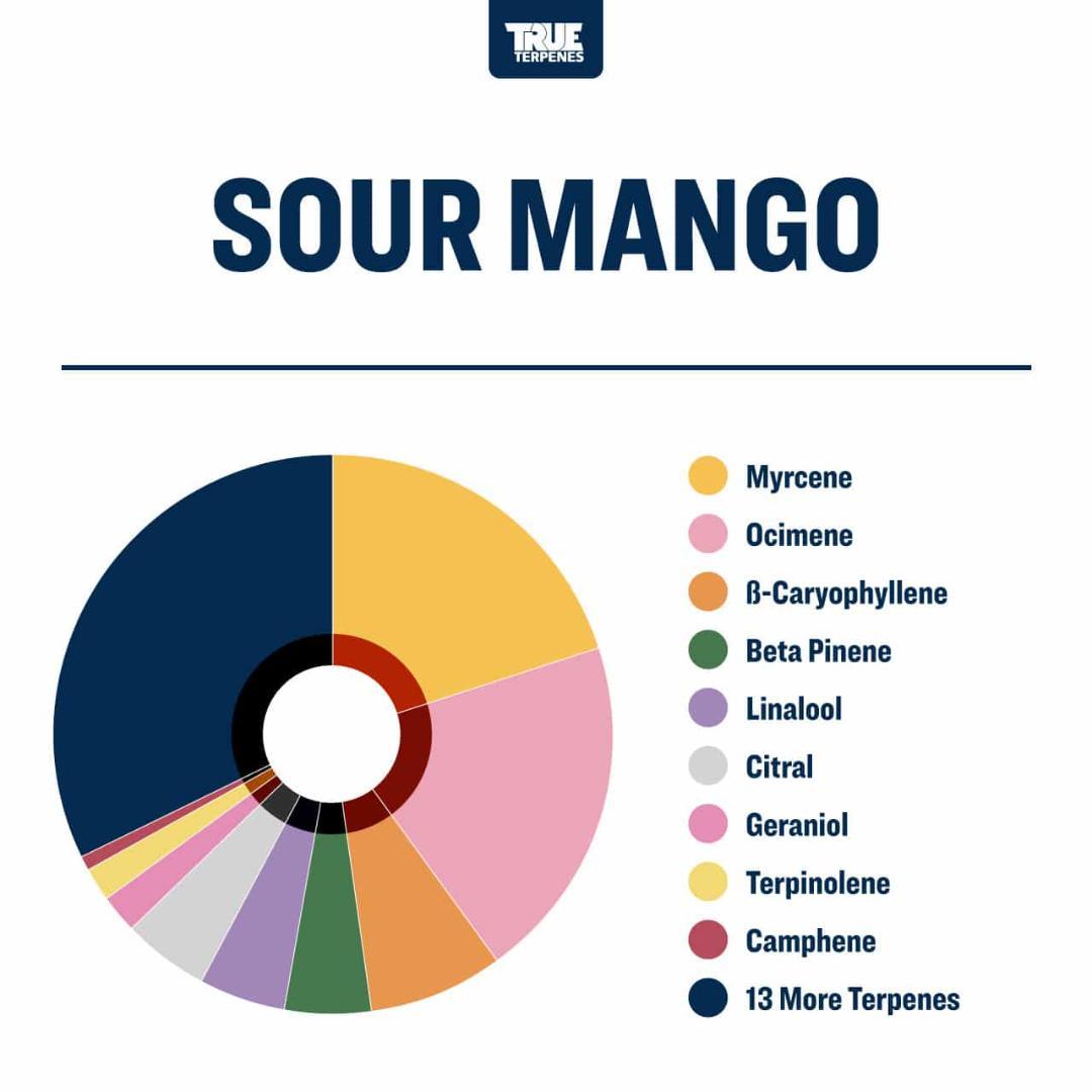テルペン TRUE テルペンフレーバー Sour Mango 10ml