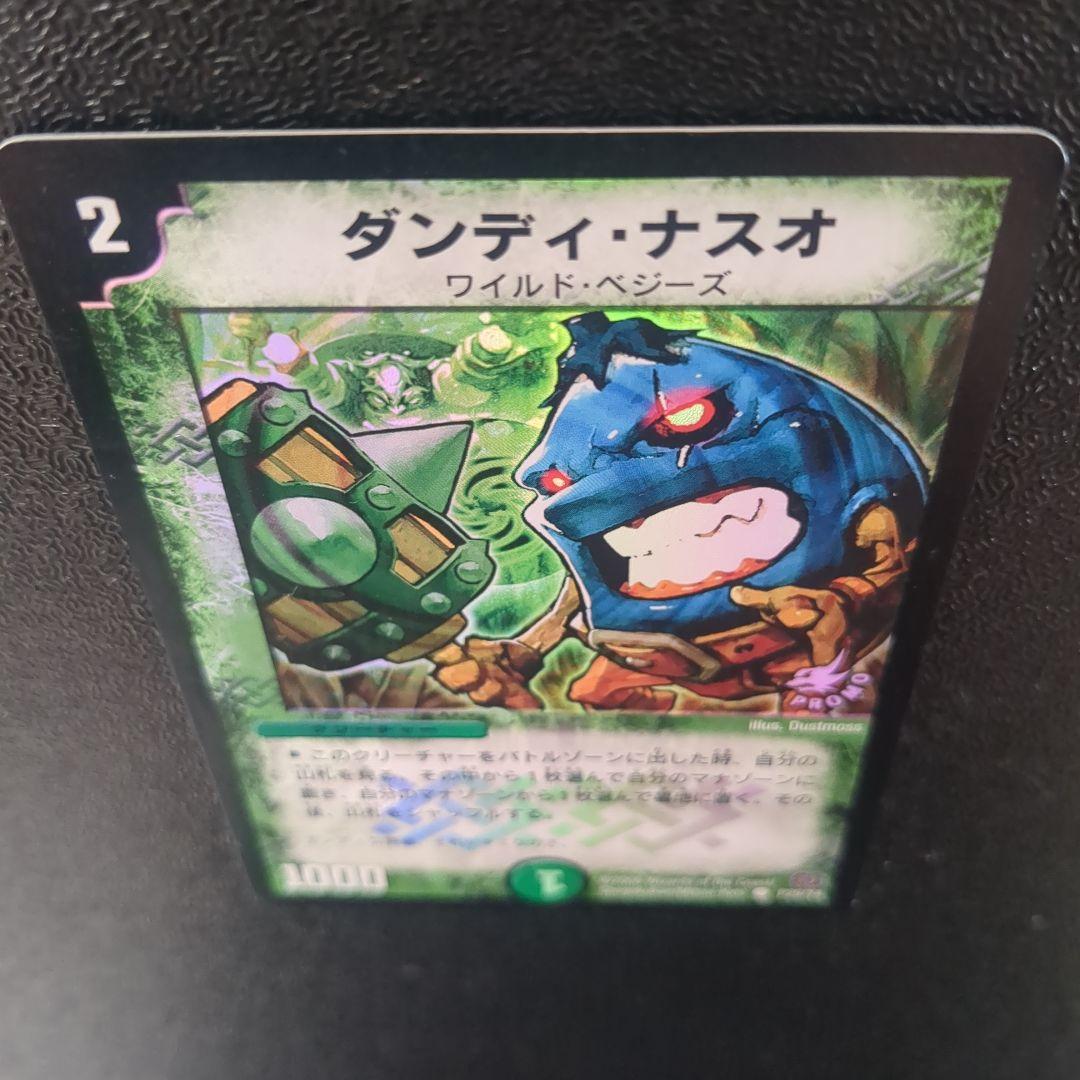 ダンディナスオ　プロモ　1枚