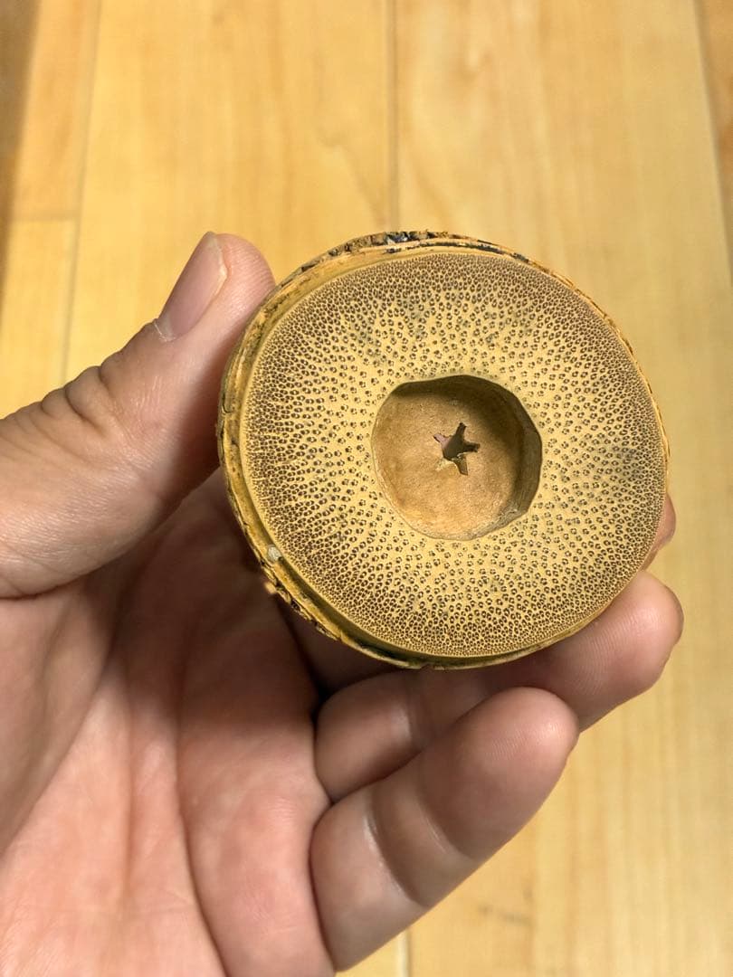 木製茶箱 4段収納 茶器付き