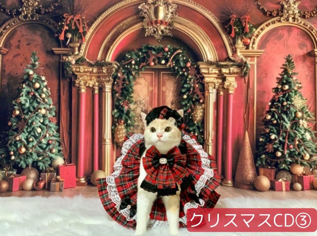 背景布×3　ペット撮影用フォトブース　トリミングチョーカー販売中　秋　クリスマス