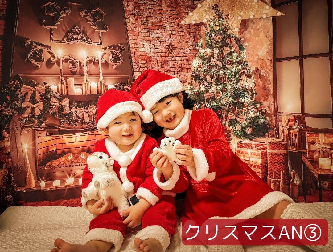 背景布×3　ペット撮影用フォトブース　トリミングチョーカー販売中　秋　クリスマス