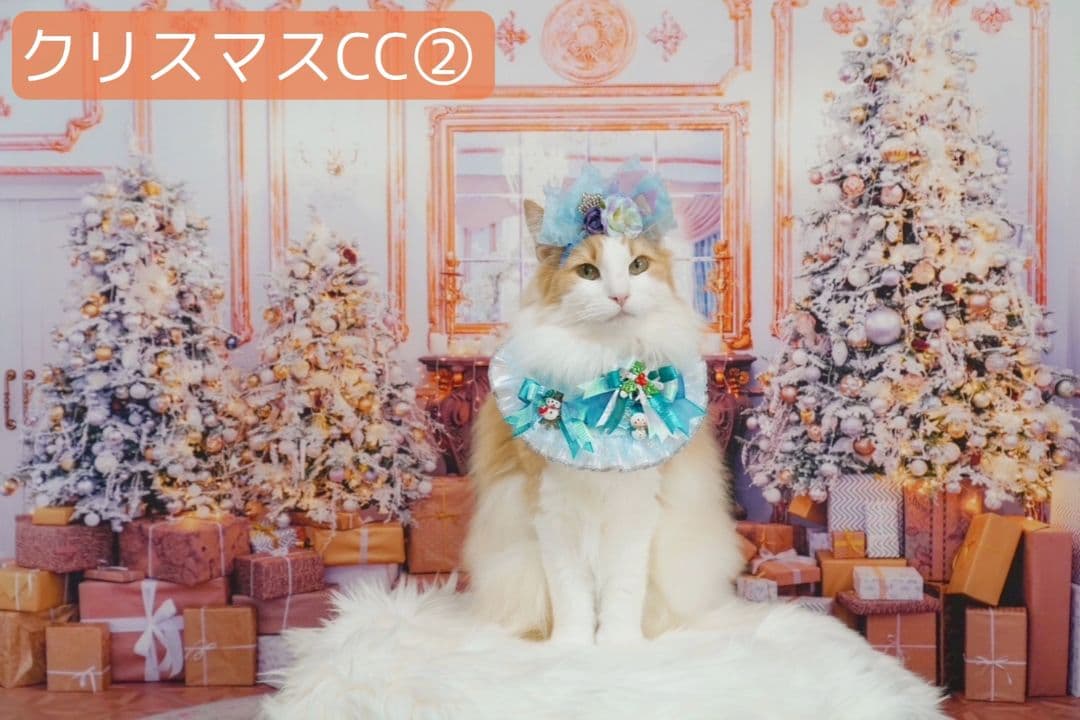 背景布×3　ペット撮影用フォトブース　トリミングチョーカー販売中　秋　クリスマス
