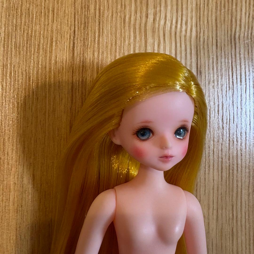 DOLCE 1/6 Pudding Doll ゴルディ