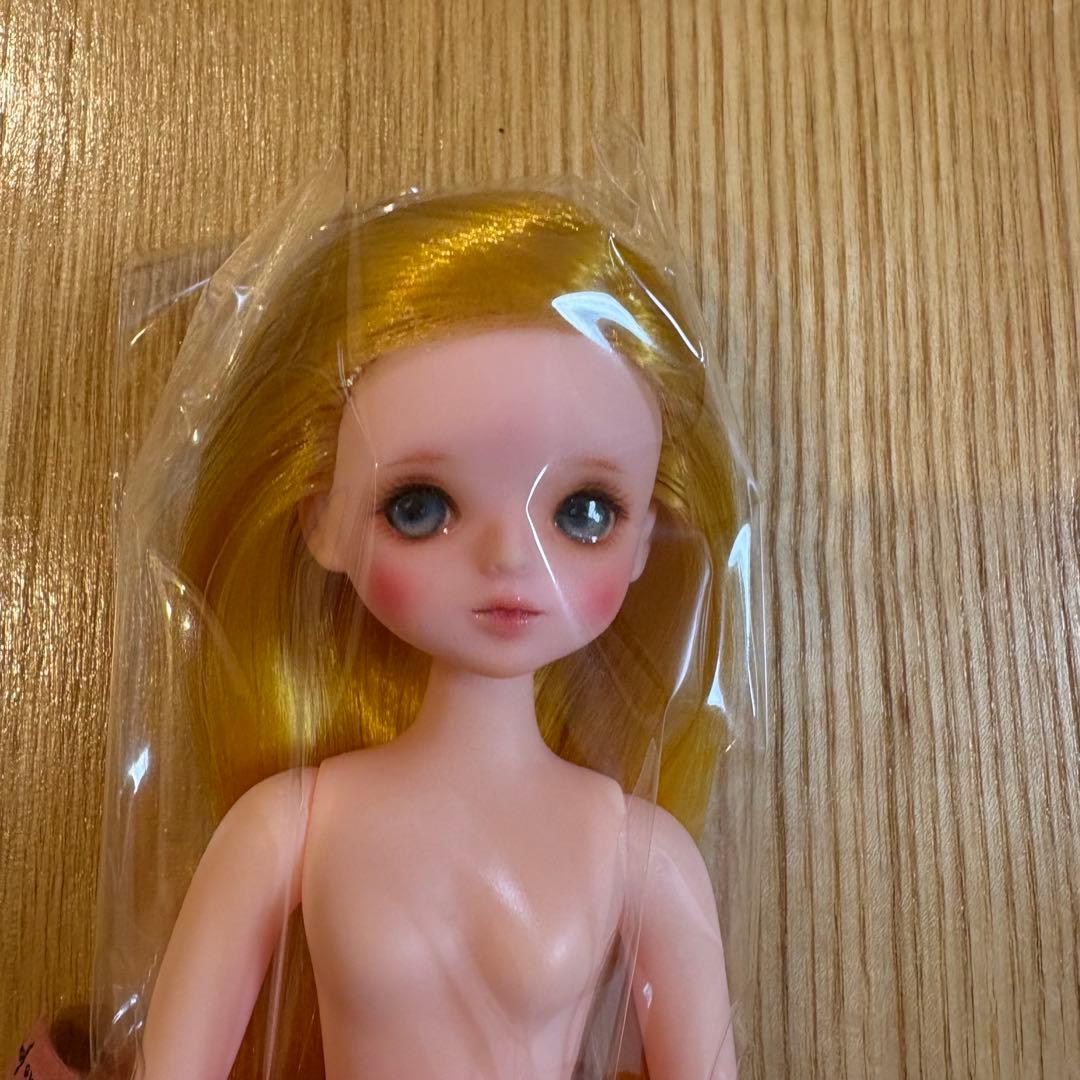 DOLCE 1/6 Pudding Doll ゴルディ