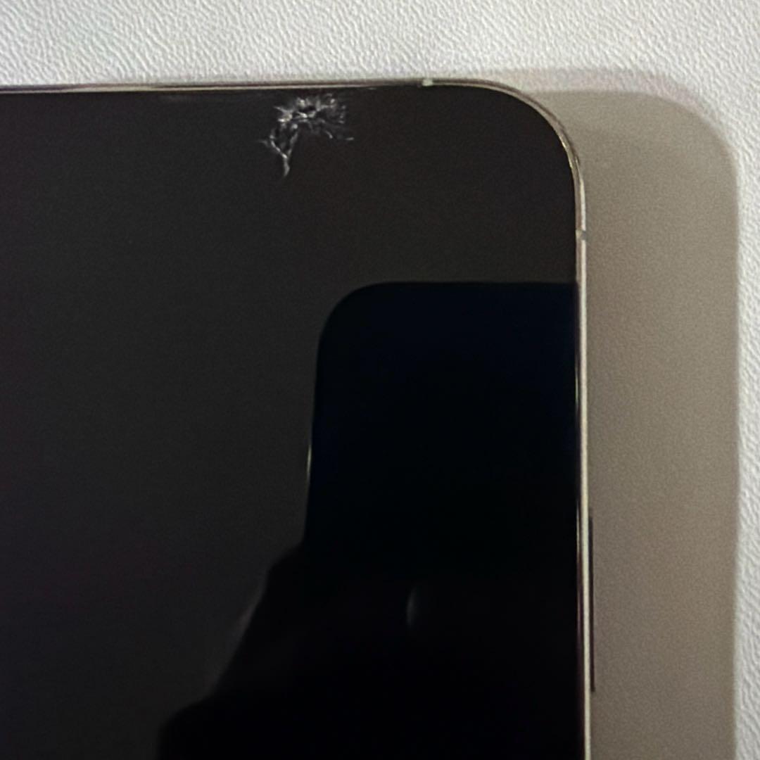 Apple iPhone 13 Promax シルバー　本体